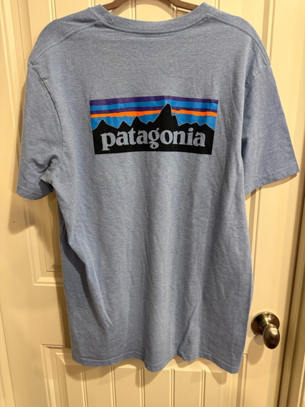 Patagonia Men's Light Blue Logo Short-Sleeve T-Shirt